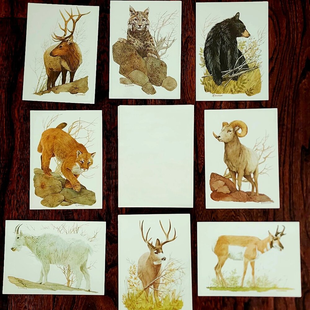 8 x Vintage Rocky Mountain Wildlife Ecology Blank Cards from Current, Inc w Enve